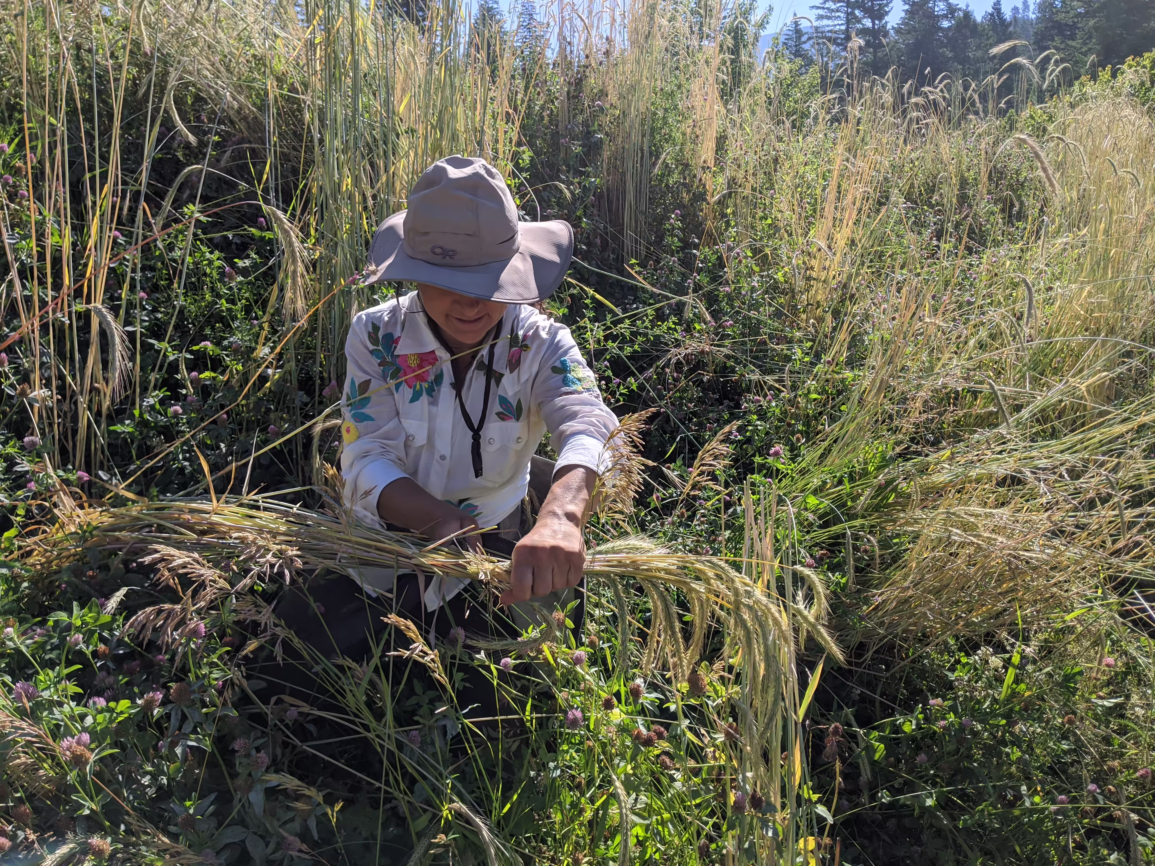 sepp-holzer-rye-root-and-seed-2